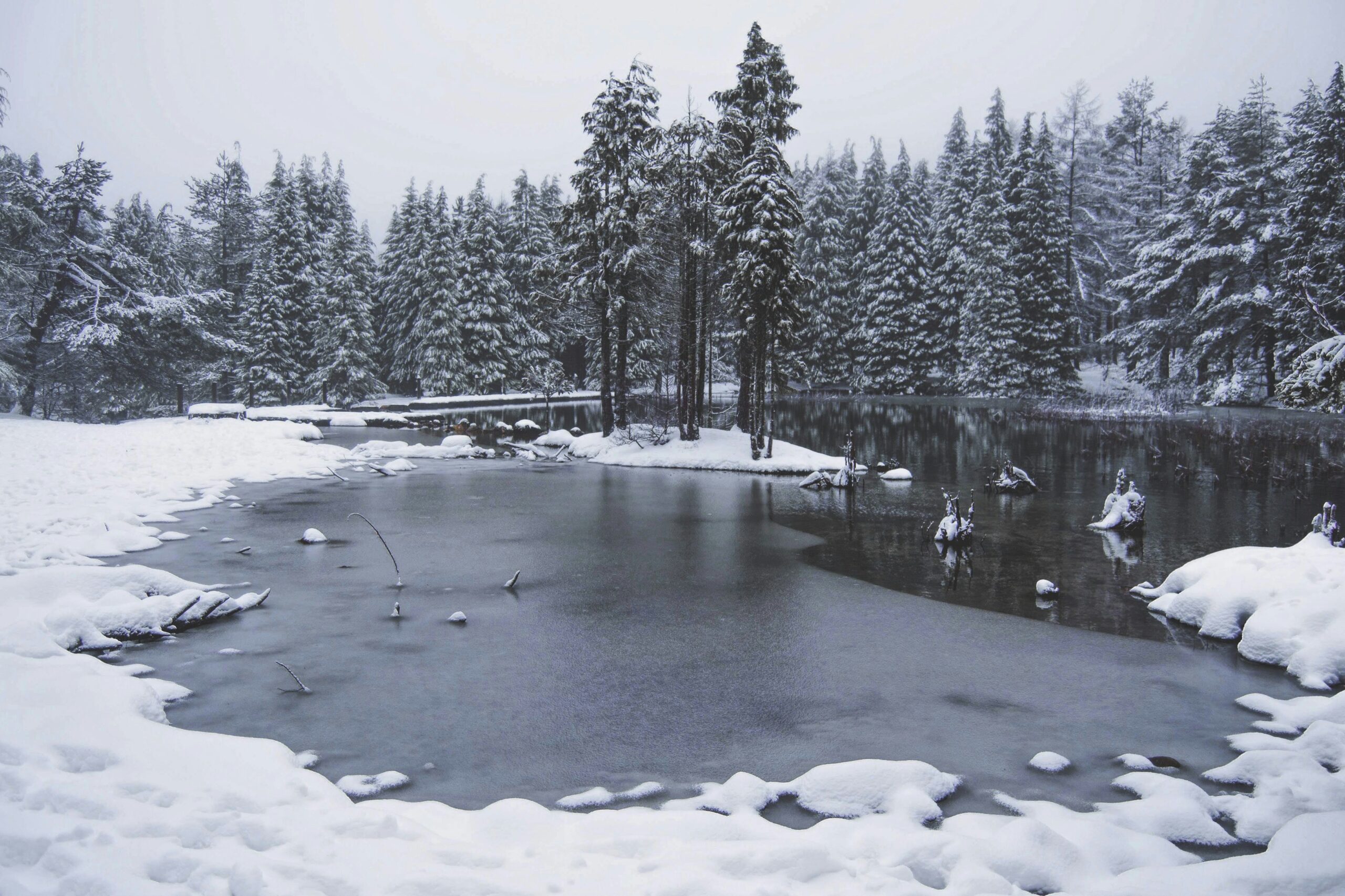 aitziber-ruiz-de-eguino-tk9HfWtM6gM-unsplash