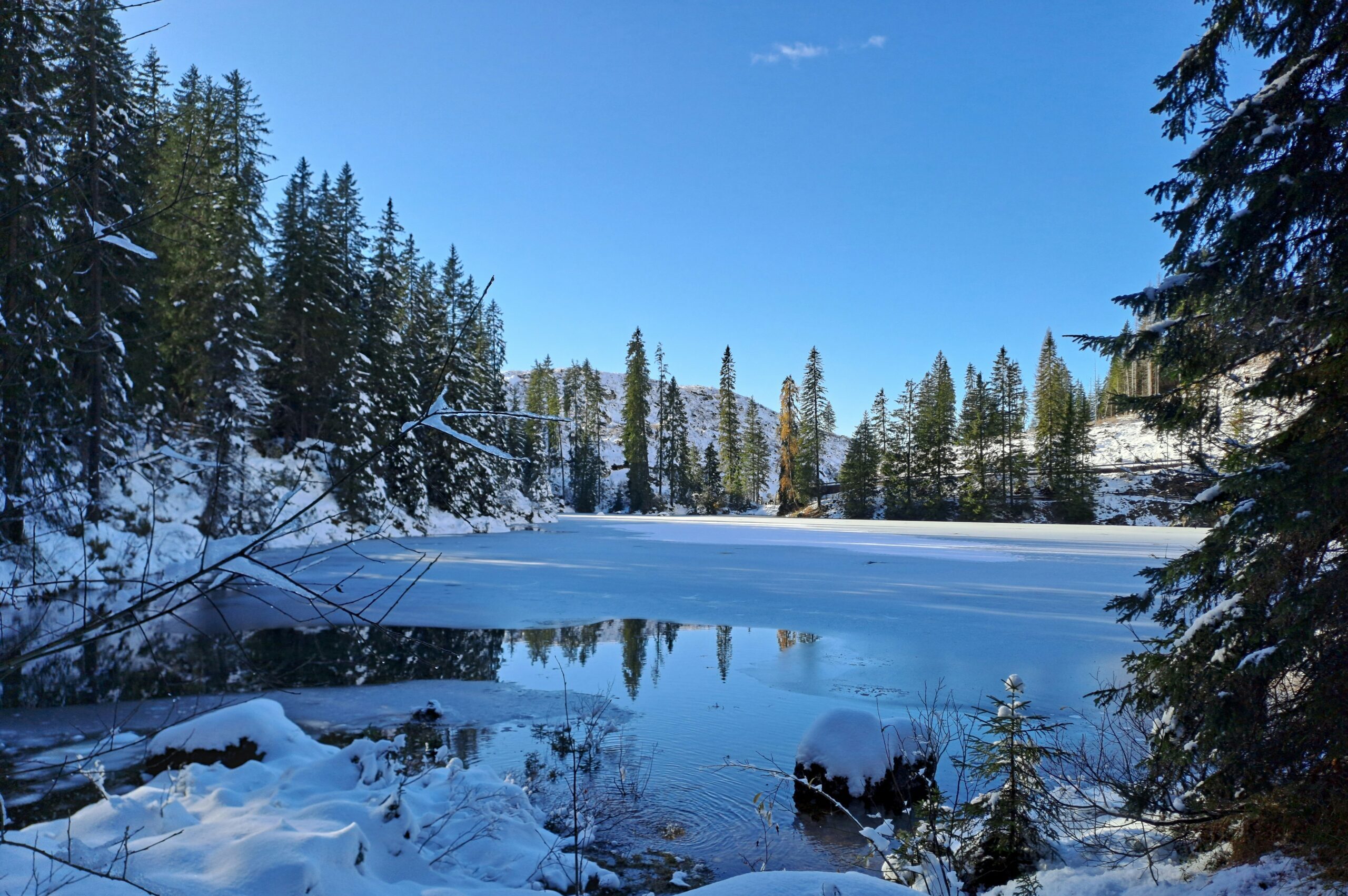 stefania-tolin-39PeeH6Of3Y-unsplash