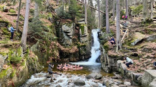 2aff8279-5fea-45a8-9e5a-6394d50c59fd