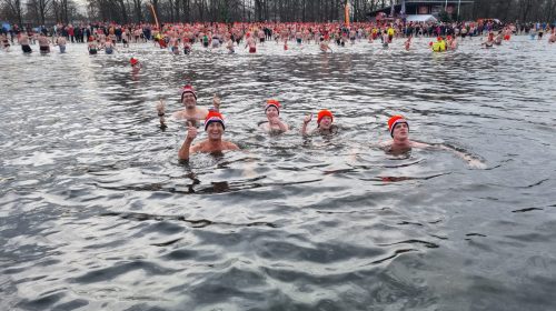 ed218c03-008a-496c-9d44-ac8404c266fa